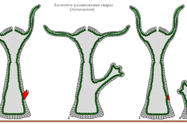 Kraken ссылка tor официальный сайт