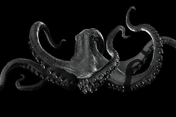 Kraken marketplace darknet