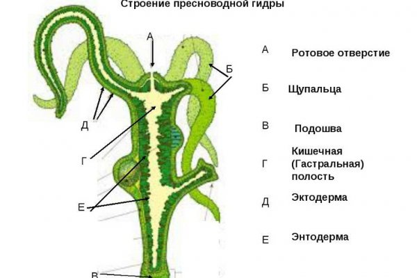 Как восстановить аккаунт на кракене