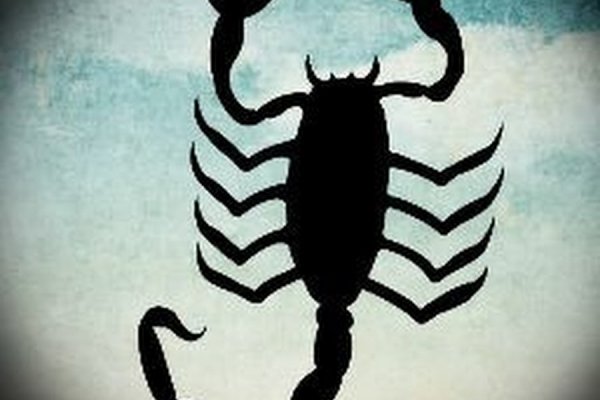 Kraken com login