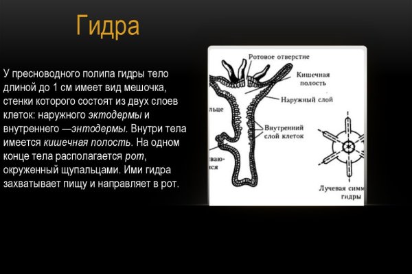 Найдется все kraken 2krn cc