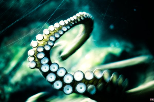 Кракен магазин kraken014 com